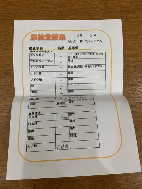 5122B58B-3925-481E-8CA2-E78A63B996EF