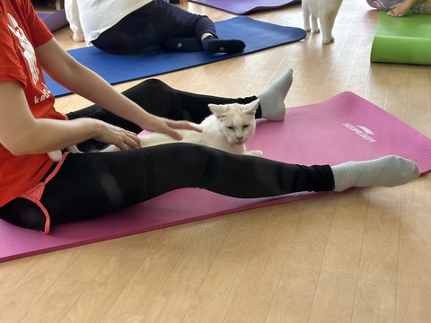 54636609-5EEE-496A-AB8E-1AEE004C2E4B