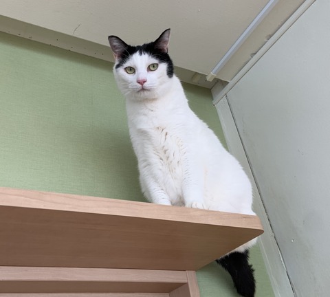 F341E319-B041-41A2-BBC1-2D79108E8BE0