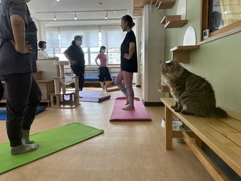 D9B58225-0169-4D31-B701-33F0B6293AC4