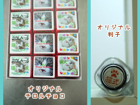 猫式ブログ~里親募集型猫カフェ