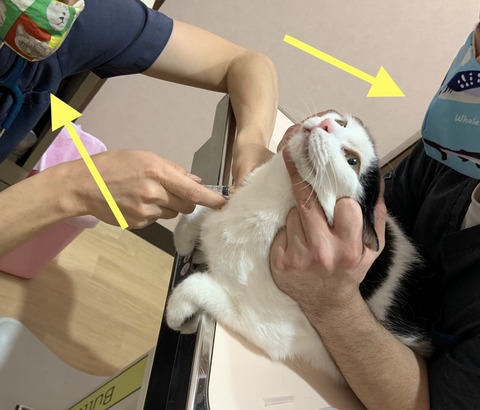 CBD635A1-56F5-4C85-A574-A42536057E37