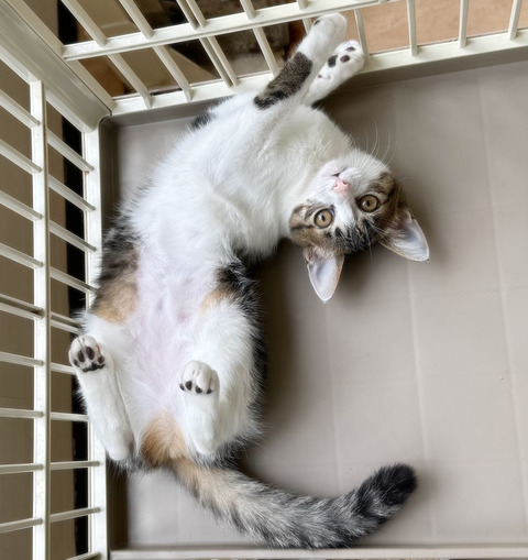 E30E1B7D-CE96-487E-839A-F4940B3F61B7