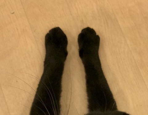 1920E3BF-D3BB-438D-A0B7-18BCE0799CDC