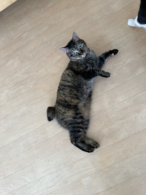 0D2DAE36-2B18-4975-89B5-33338598CC21