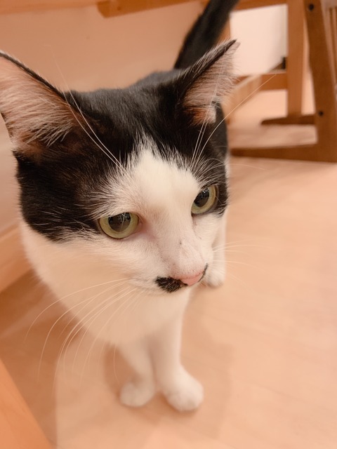 816B1F66-909E-4D77-8D9E-937B70A21D84