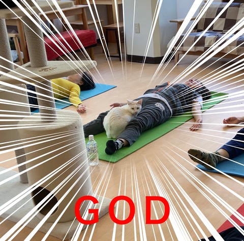 A4B3AD5E-ABDF-4F5A-917A-4BC37BC45A52