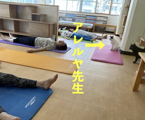 2CA195F2-129B-46DA-B814-F13DB5787402