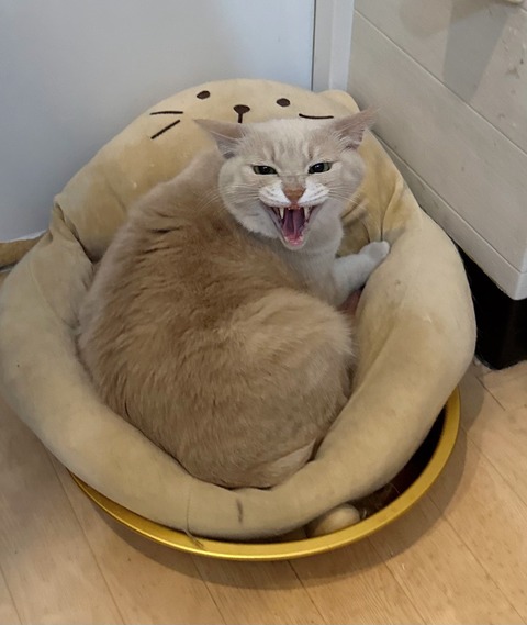 583D0361-6A1A-4049-8019-931EDC354043