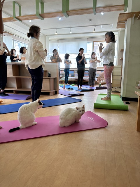 CDE884C0-9777-46F9-8828-5CF94976644C