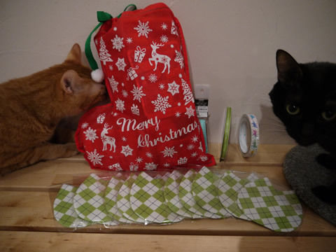 猫式ブログ~里親募集型猫カフェ