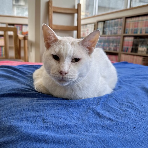 C060AD5F-A449-439C-A46E-CE624B93DB41