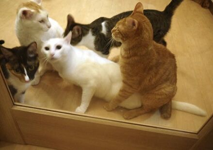 0A7FCFC8-A59A-49EE-92A9-DB1D963B959B