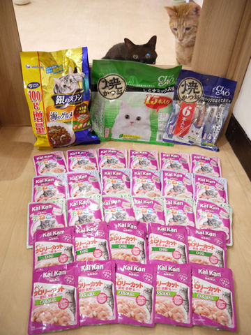 猫式ブログ~里親募集型猫カフェ