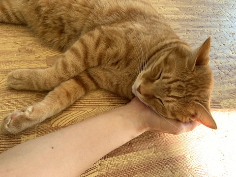 F049F9BC-A479-4A0C-83FC-91E80DFE4DA2