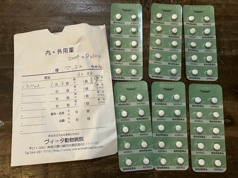 0250C370-0FB5-4407-AE25-CA6DE7E8A0E0