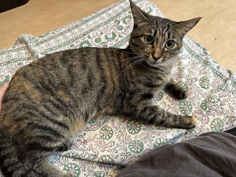 A10D2EFA-0164-4FA1-9F77-4E3DDD0149B8