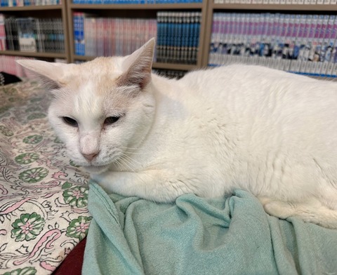 F4E99EF0-E4DE-48C0-9F47-B7F448D7BD77