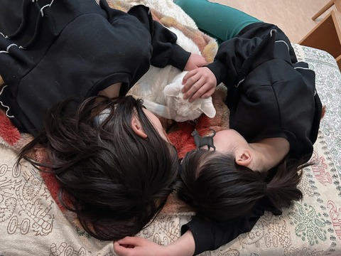 8D98B7D3-64A3-4294-8F9A-CD412888ACAA