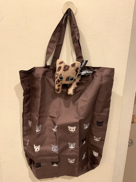 27E805CD-04AE-4BCF-AEDE-43B19D4F8314