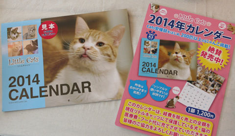 猫式ブログ~里親募集型猫カフェ