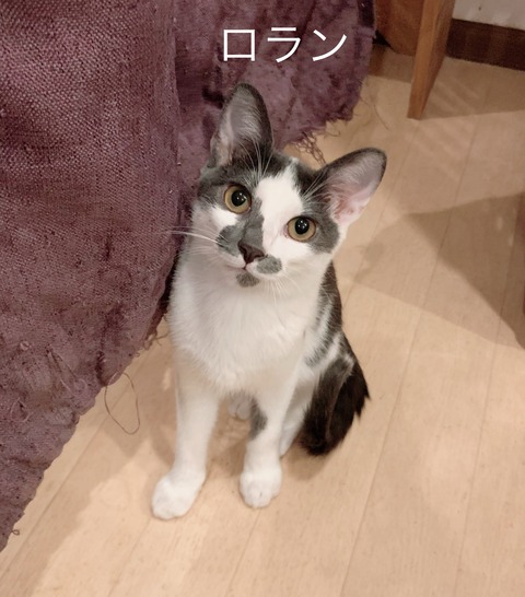 FB60479A-E05F-4F7D-BB8A-D63A0D8974A5