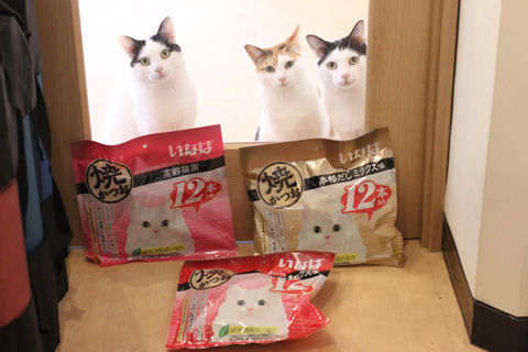 IMG_2295_masuoさん