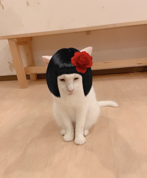 BEC6B7FF-4D5C-4D5A-80BE-B0069C79E765