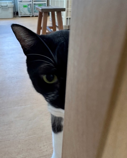 36F34534-C2E5-4EDA-8486-3136EA144C0C