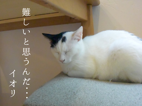 DSC_0145_r2_c2
