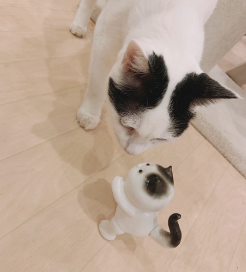 D2D4D072-8F14-45D3-A9B5-85CD32A905DA