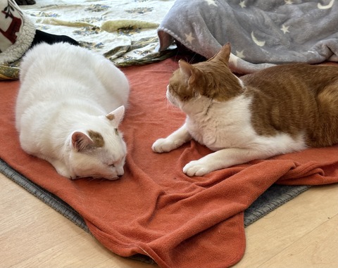 54A065AE-A4BC-4D59-8F04-86F70698B115