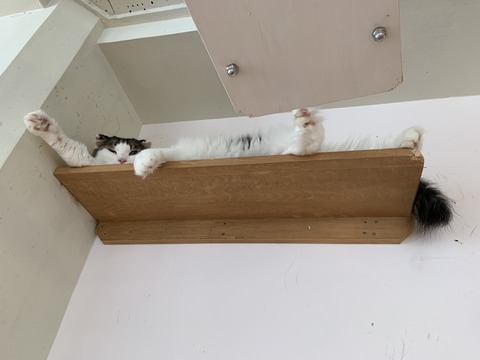 83EE5530-78CE-41B0-8DB7-8F3F84FB5FFA