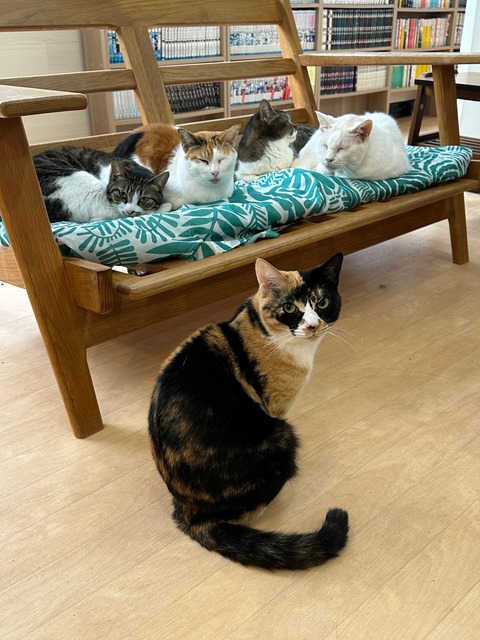 71D9976E-E883-4B3D-B3B8-6C54E1B64C77