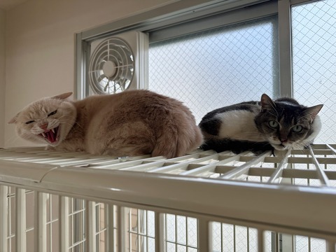 E4044B50-2902-4A20-961A-E962AFCF1127