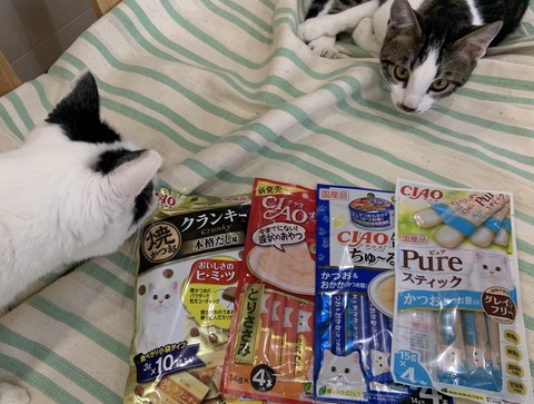 AFC30063-636E-43FF-A575-161DEB23A9BC