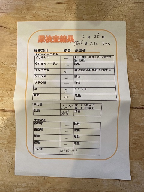 A4C3D64B-C8B8-4225-B376-39088DA47FC0