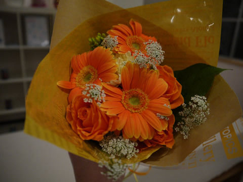 猫式ブログ～里親募集型猫カフェ