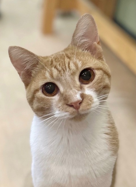 2A5A0657-3BAB-4F0B-92E4-C88E54F8282F