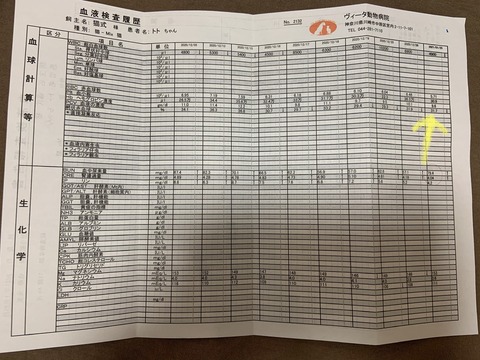 1144ED5D-D86F-4BC4-A71E-A66A7F7C35FA