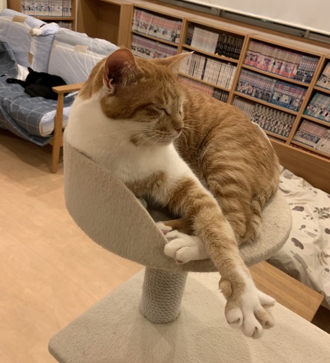 D1D68753-26F3-4661-8993-1FDBA015E847