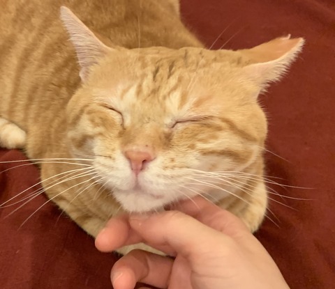 F0940A3F-FBEA-47A3-857A-316E58C23C01