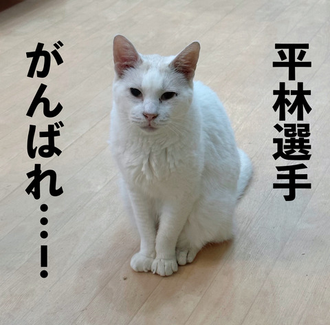 691D4A37-58E4-4397-A5A1-1678A76FC881