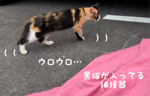 92E03E69-6612-4465-8C6A-DD19CB177614