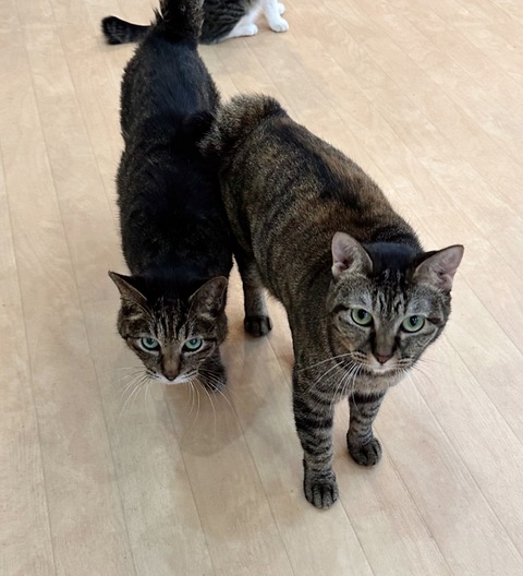 D2688950-7AB0-4BDE-BEC4-1A1F0F38B2A4