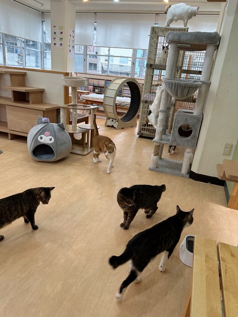 57159CF8-AA03-4ED9-8EEA-3FD181AD5053