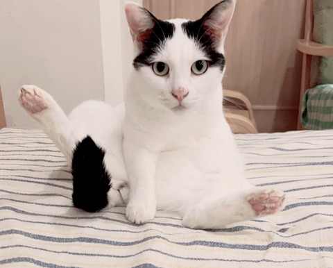 F5D752B2-AE28-45DA-A3D1-F9DF42C1B629