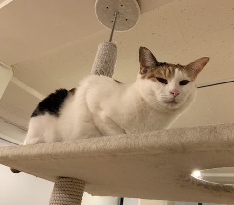 8377DB51-3572-47AB-BCF4-C30D26D79C9F