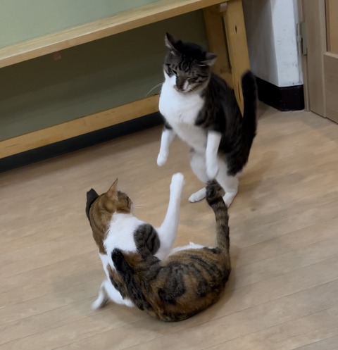 5553D1FA-881C-408D-AEF3-9CD64AC0EC37