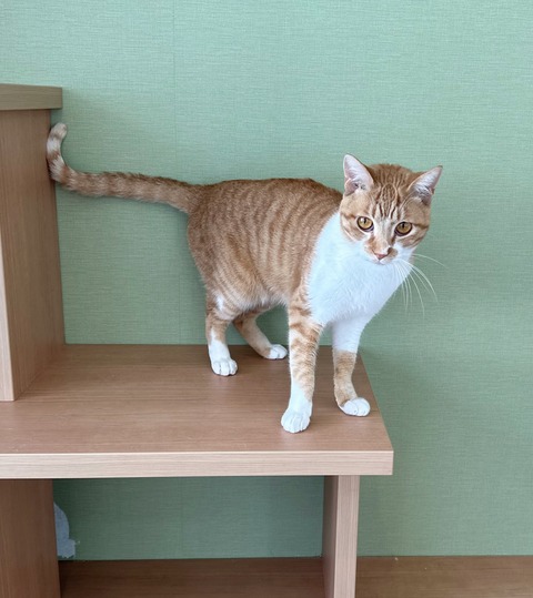 636E47AF-27A6-48A0-824B-DD8358B8E433